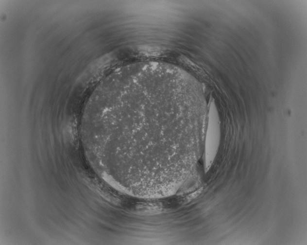 X0000062640559200601181747