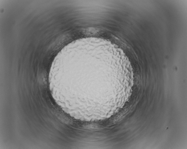 X0000062640561200601181747