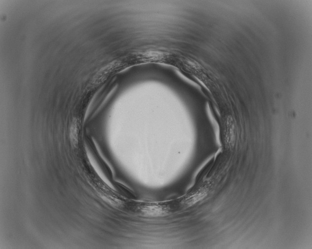 X0000062640562200601181747