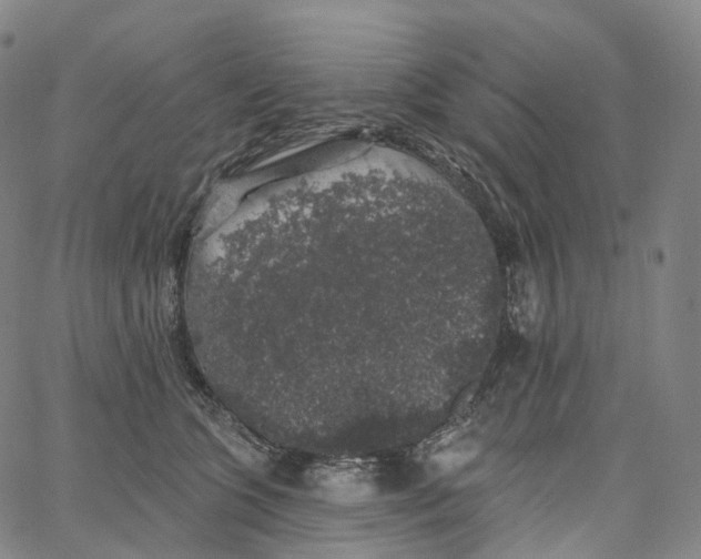 X0000062640563200601181747