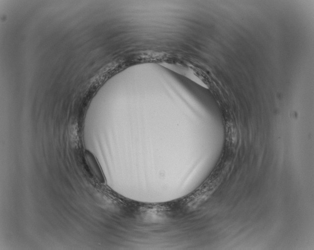 X0000062640564200601181748