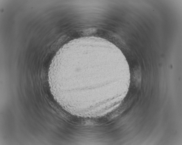 X0000062640565200601181748