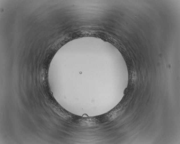 X0000062640567200601181748