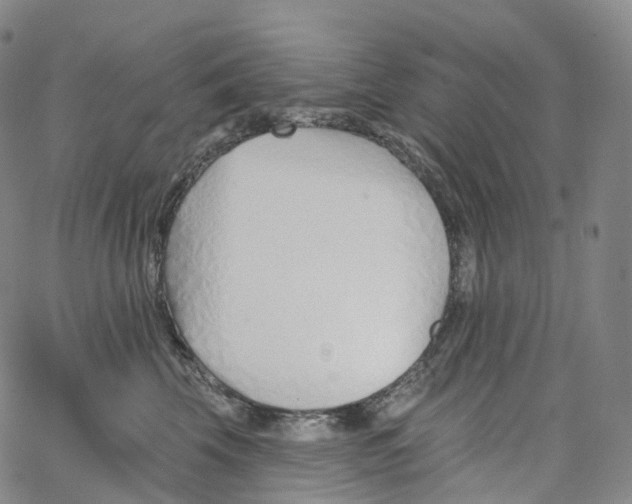 X0000062640569200601181748