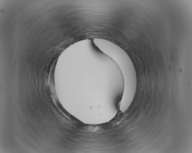 X0000062640570200601181748