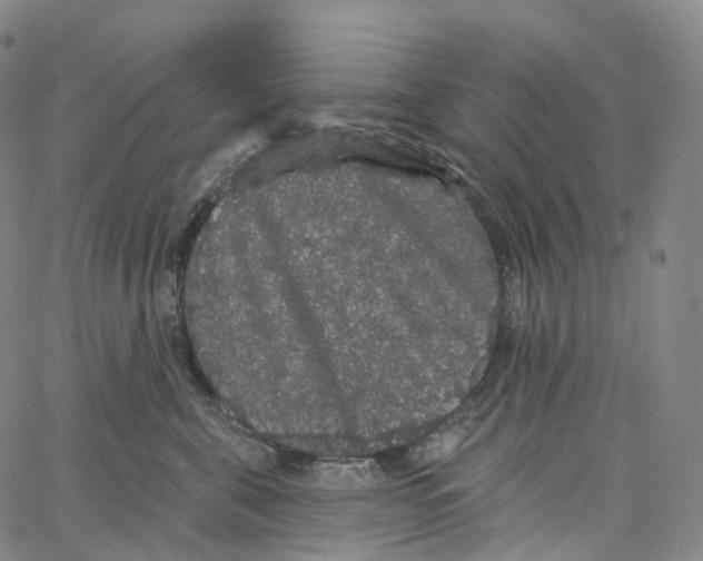 X0000062640571200601181748