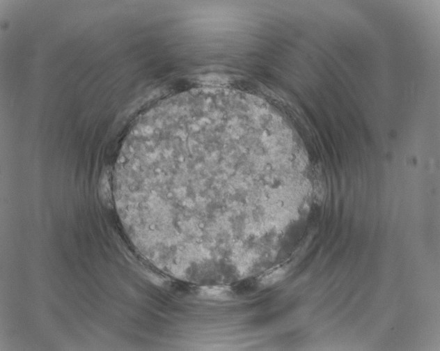 X0000062640573200601181748