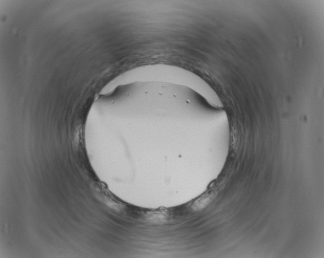 X0000062640574200601181748