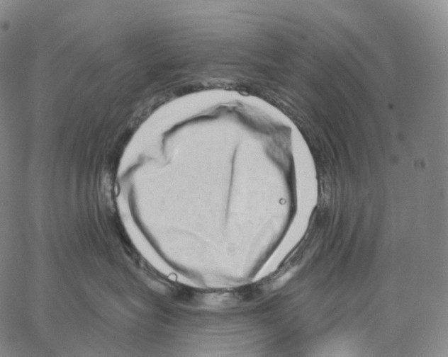 X0000062640575200601181748