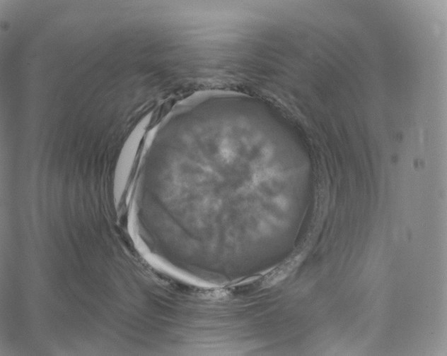 X0000062640576200601181748