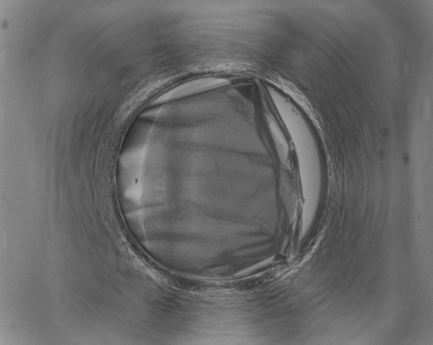 X0000062640577200601181747