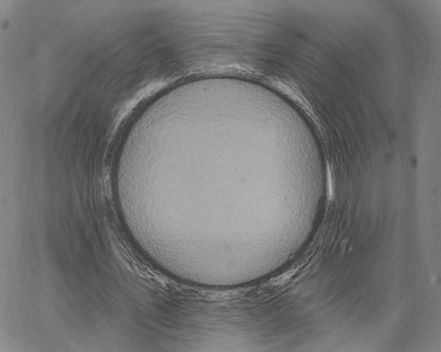 X0000062640579200601181747