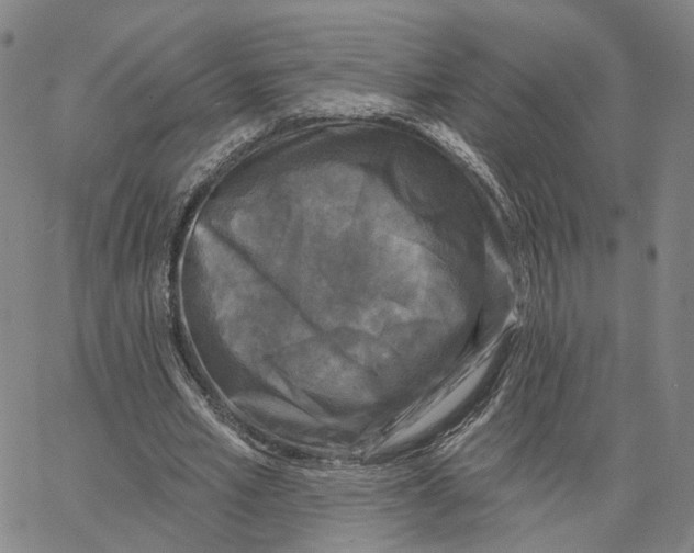 X0000062640581200601181747