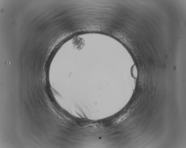 X0000062640584200601181747