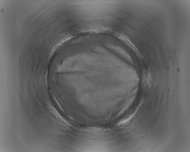 X0000062640585200601181747