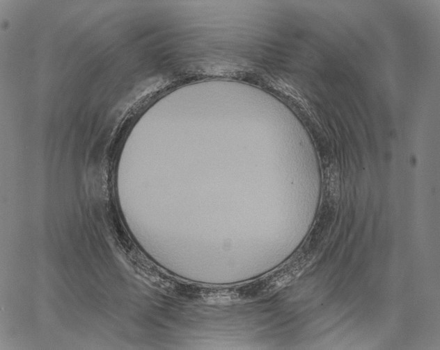 X0000062640587200601181747