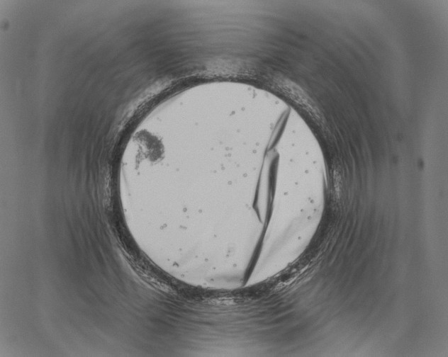 X0000062640588200601181747