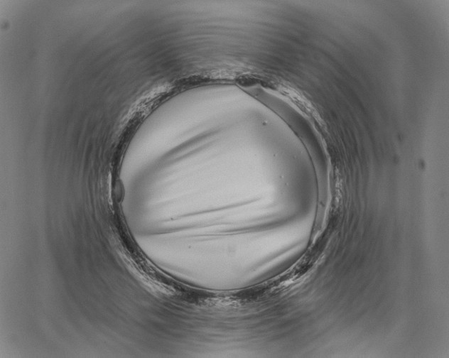 X0000062640589200601181747