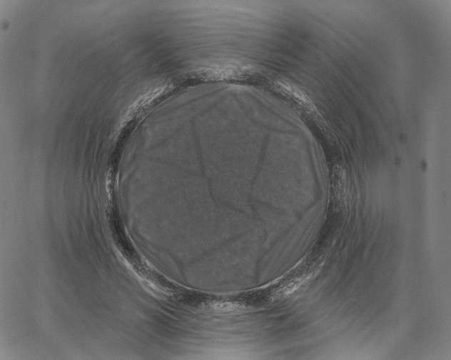 X0000062640590200601181747