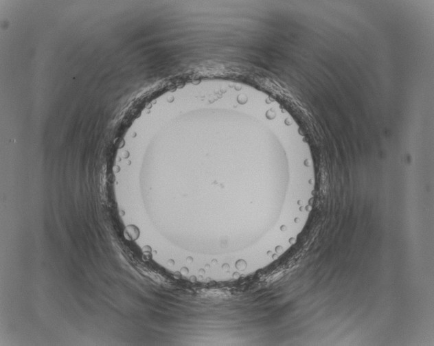 X0000062640592200601181747