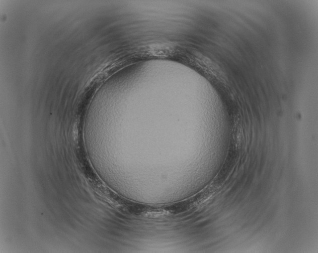 X0000062640595200601181747