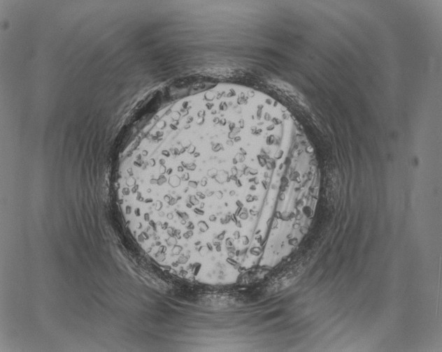 X0000062640596200601181747