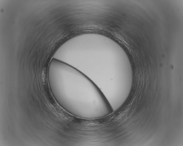 X0000062640597200601181747