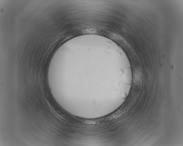 X0000062640598200601181747