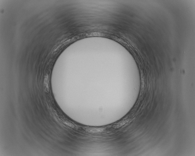 X0000062640599200601181747