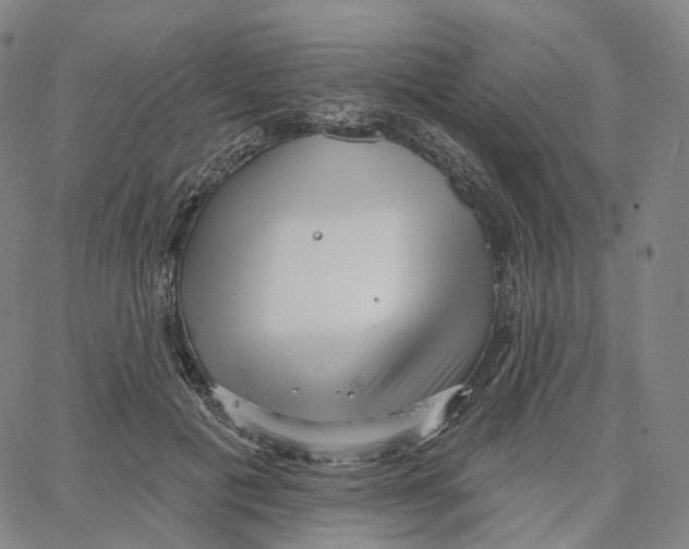 X0000062640601200601181747