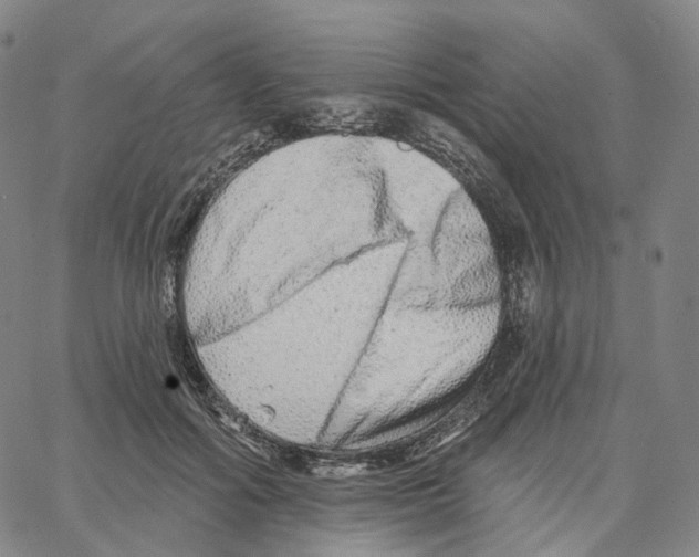 X0000062640602200601181747