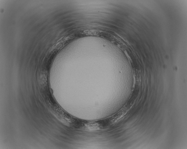 X0000062640603200601181746