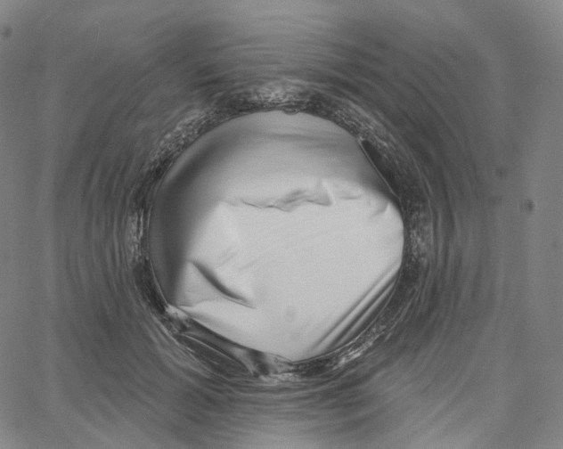 X0000062640605200601181746