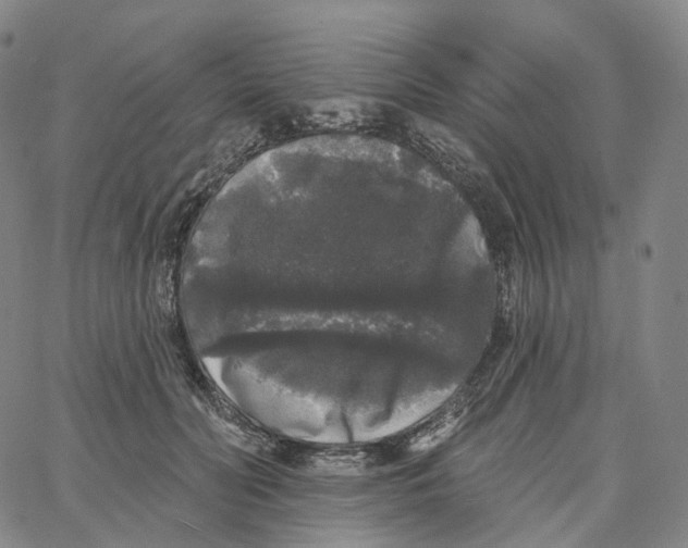 X0000062640606200601181746