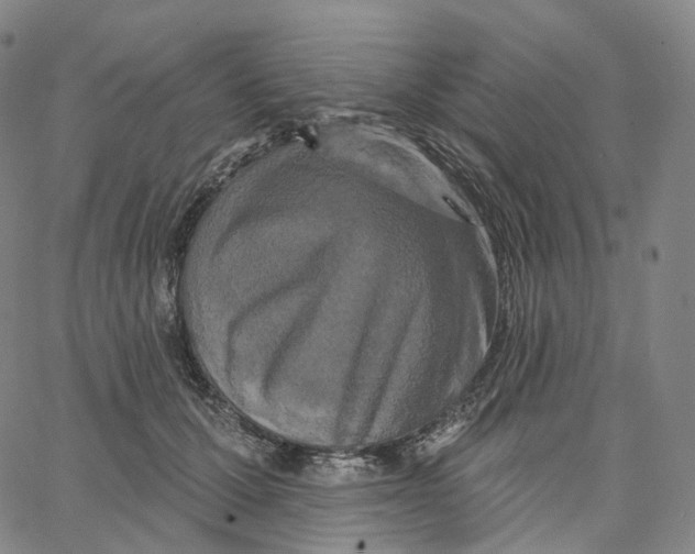 X0000062640607200601181746