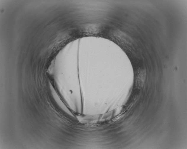 X0000062640608200601181746