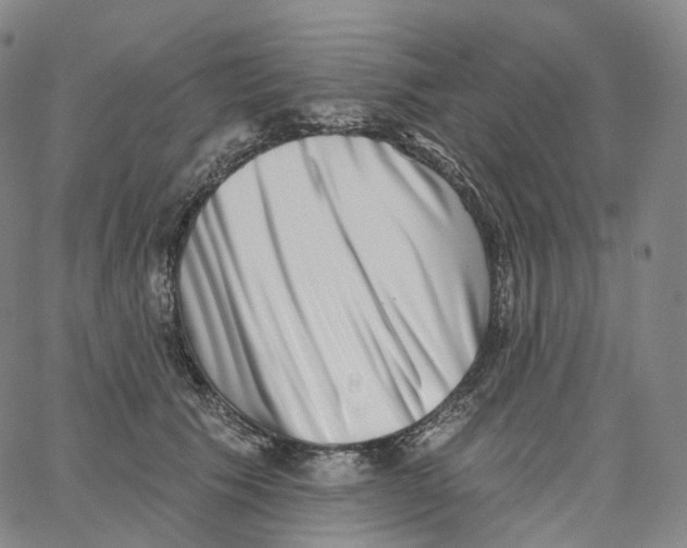 X0000062640609200601181746