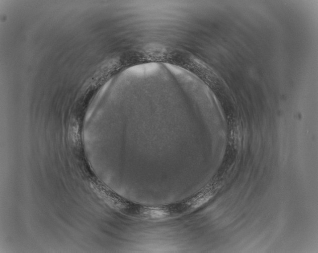 X0000062640610200601181746