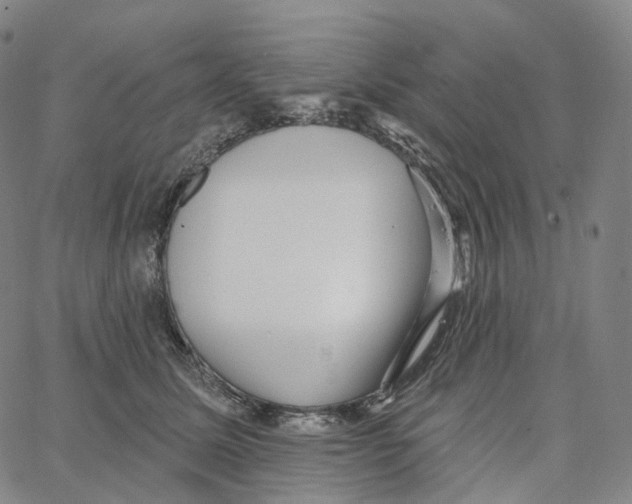 X0000062640611200601181746