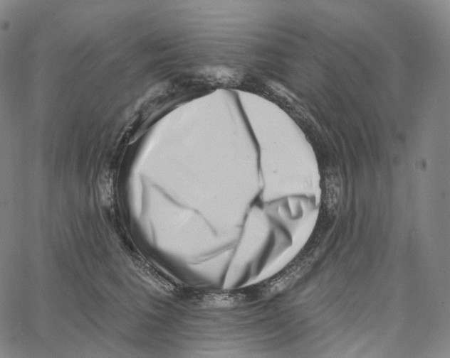 X0000062640613200601181746