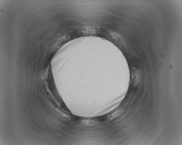 X0000062640614200601181746