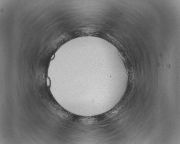 X0000062640615200601181746