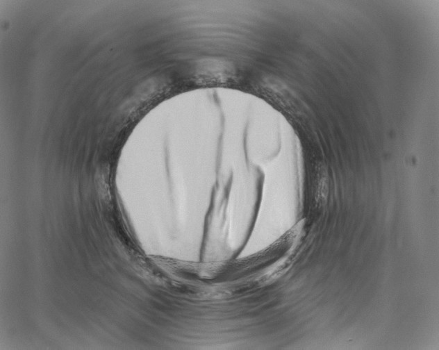 X0000062640616200601181746