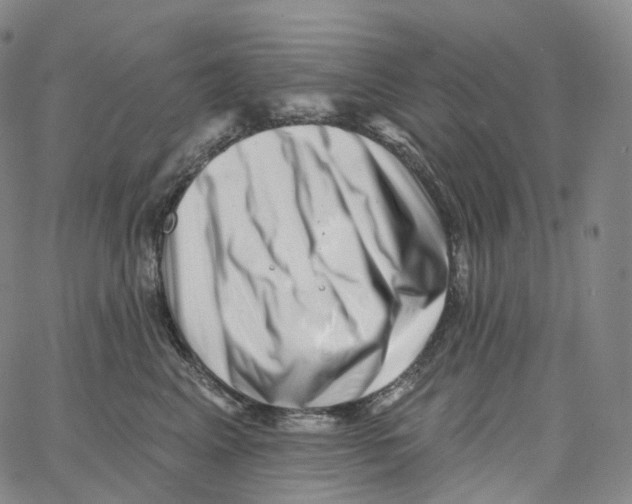 X0000062640617200601181746