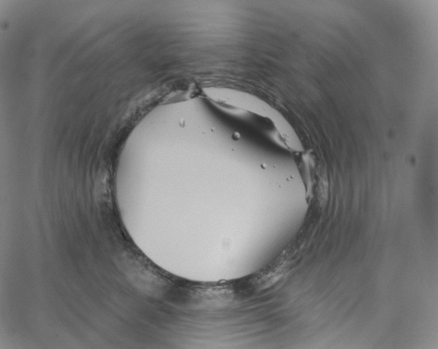 X0000062640619200601181746