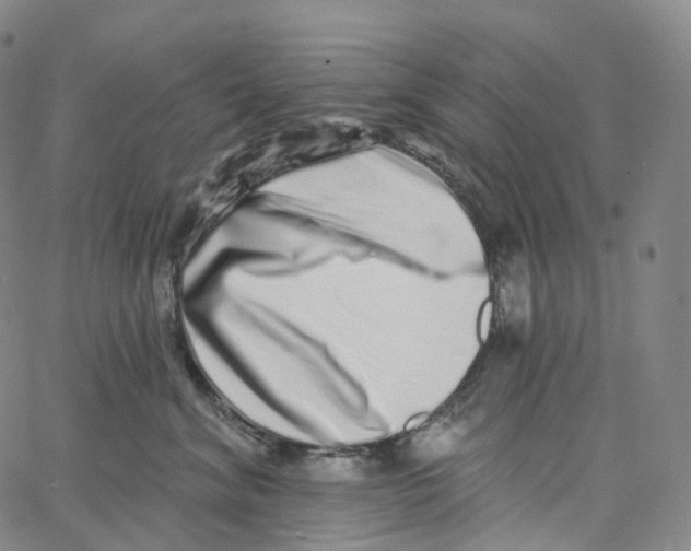 X0000062640620200601181746