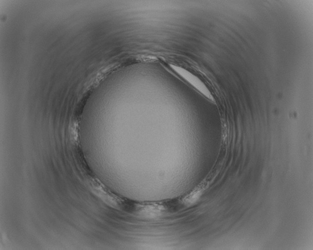 X0000062640621200601181746