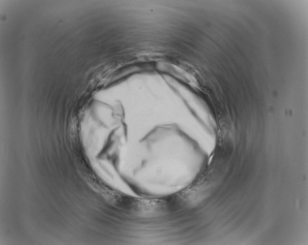 X0000062640623200601181746