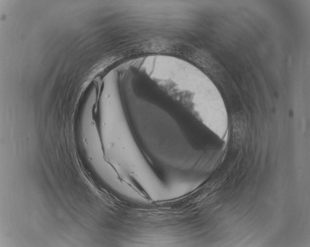 X0000062640626200601181745