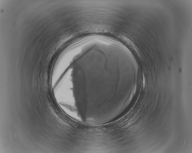 X0000062640627200601181745